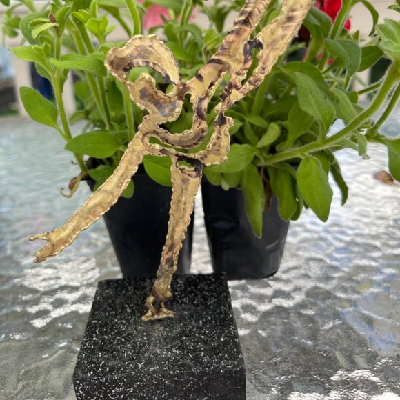 Handmade Hammered Brass 8" Ice Skater Figure on 3" x 3" Base - Picture 10 of 10